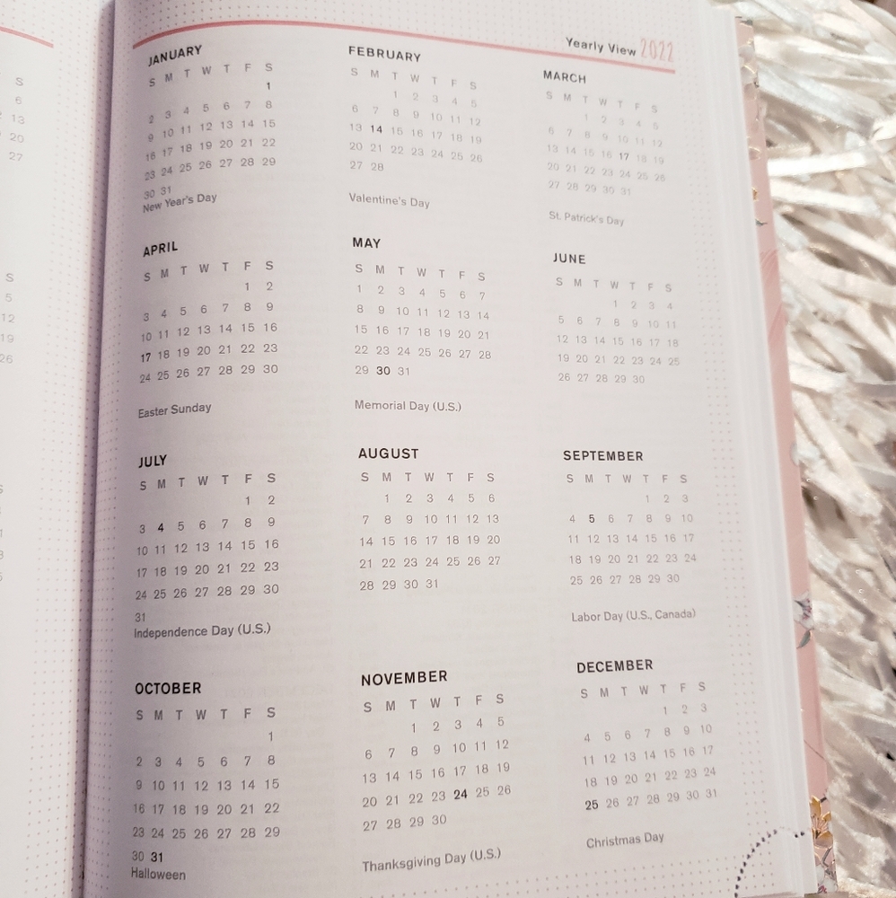 🆕️ NEW 18-Month Smarty Cats🐈 2020-2021 Planner - Picture 8 of 16